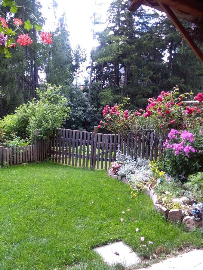Achillea Bed & Breakfast Виго-ди-Фасса Экстерьер фото